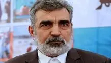 کمالوندي: الوکالة الذریة على علم بالإجراءات في مجمع نطنز