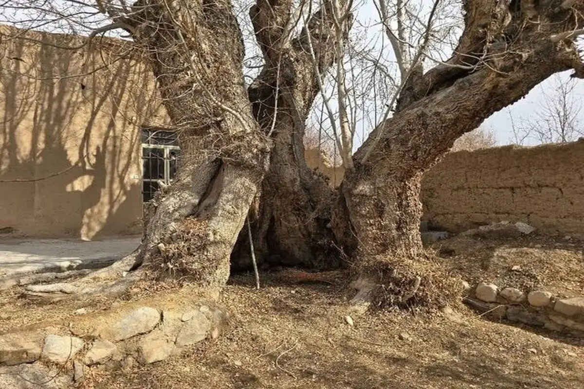 ثبت ملی ۲ اثر طبیعی در یزد