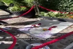  وضعیت آرامگاه استاد شجریان در پنجمین سالروز درگذشت او + فیلم