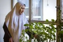 مهد  سالمندی؛ رویارویی با روزگار تنهایی
