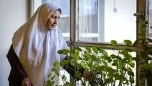 سالمندی ۱۲ درصد جمعیت
