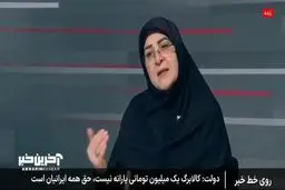 سخنگوی دولت: با آزاد کردن نرخ ارز، سه قلم نسبت به بقیه اقلام افزایش چشم‌گیری‌تری دارند + ویدیو