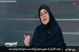 سخنگوی دولت: با آزاد کردن نرخ ارز، سه قلم نسبت به بقیه اقلام افزایش چشم‌گیری‌تری دارند + ویدیو
