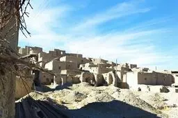 آخرین خبرها از زلزله خراسان جنوبی
