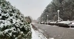 وضعیت هوای فردا شنبه ۱۸ بهمن ۱۴۰۴/ این مناطق منتظر بارش برف و باران باشند