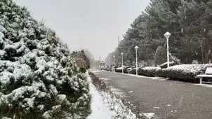 بارش برف در همدان 