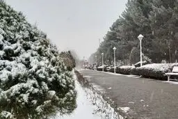 پیش بینی هوای خوزستان فردا دوشنبه 1 بهمن/ رگبارهای پراکنده برف و باران