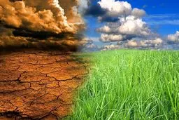 تغییرات اقلیمی چه آسیب‌هایی به انسان می‌زند


