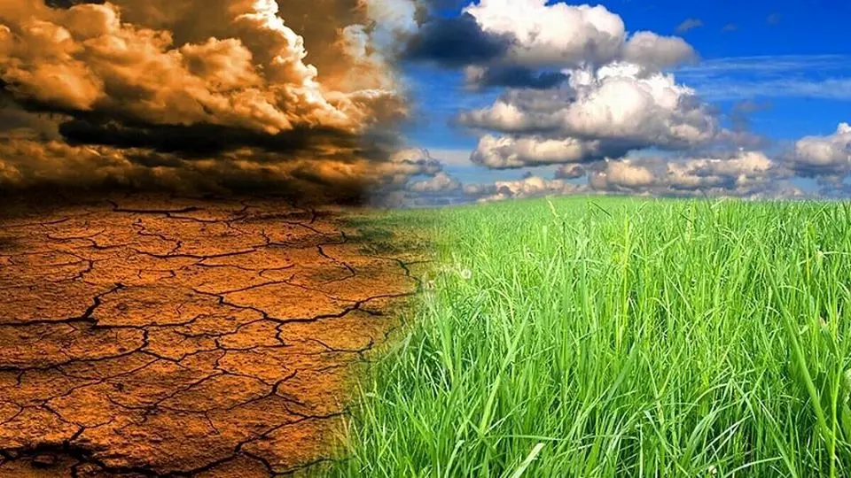 تغییرات اقلیمی چه آسیبهایی به انسان میزند