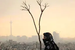 من درد مشترکم، مرا فریاد کن

