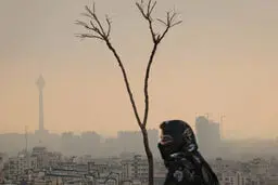 من درد مشترکم، مرا فریاد کن

