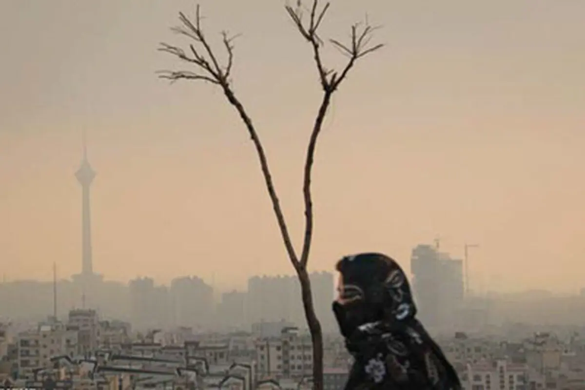 من درد مشترکم، مرا فریاد کن

