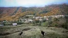 تصاویر تماشایی از پاییز سوادکوه