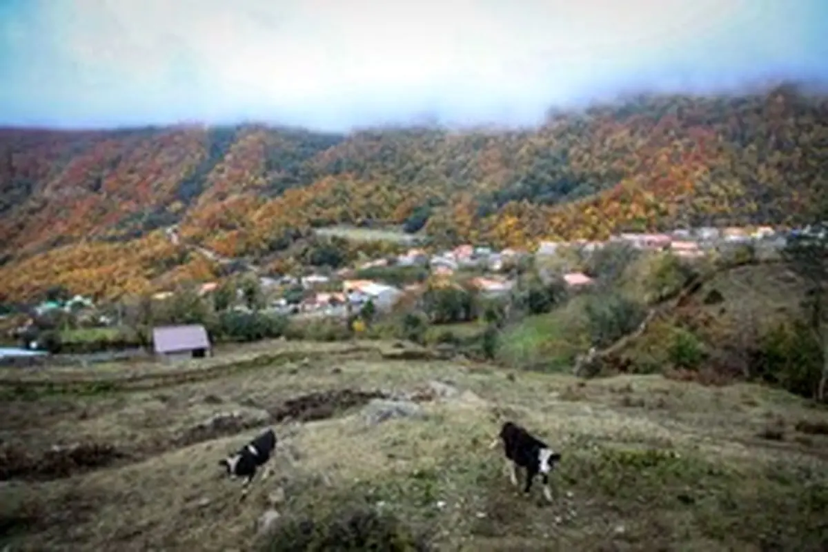 تصاویر تماشایی از پاییز سوادکوه