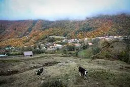 تصاویر تماشایی از پاییز سوادکوه