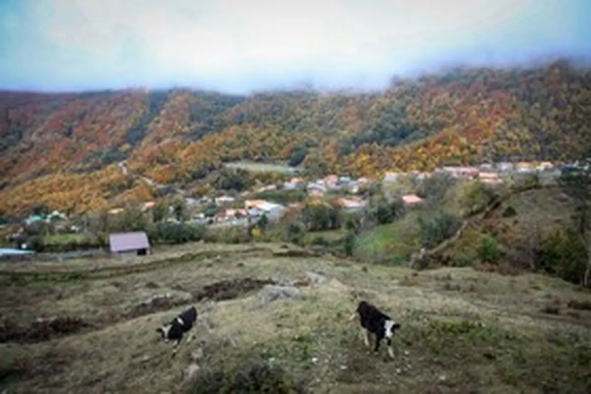تصاویر تماشایی از پاییز سوادکوه