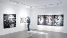 ناظر  سرگشته

