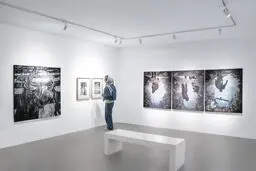 ناظر  سرگشته

