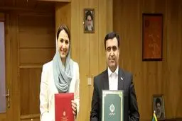 رئیس منظمة البیئة الایرانیة: مشکلة الغبار تشکل خطرا على کل دول المنطقة