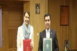 رئیس منظمة البیئة الایرانیة: مشکلة الغبار تشکل خطرا على کل دول المنطقة