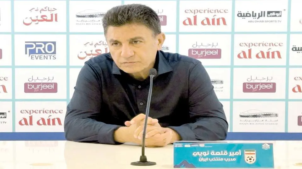 تمجید قلعه‌نویی، انتقادات کارشناسان