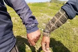 دستگیری دو متهم تیراندازی به محیط‌بانان بوشهری