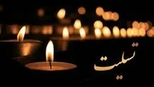  مایلی کهن به استقلال مدیرعامل معرفی کرد!
