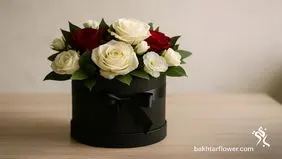 ۵ دلیلی که مشتریان گل باختر رو دوباره انتخاب می‌کنن