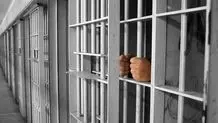 ۴ صیاد زندانی در قطر آزاد شدند