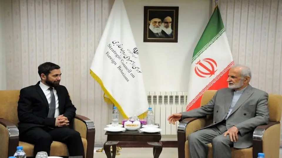 دیدار خرازی با معاون وزیر خارجه ارمنستان درباره روند صلح ایروان-باکو