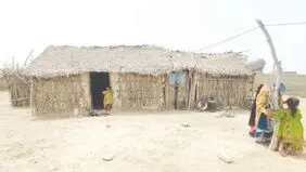 تکه‌ای از پازل زندگی

