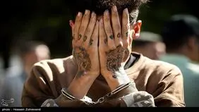 شلیک پلیس به فرار فرد هنجارشکن پایان داد

