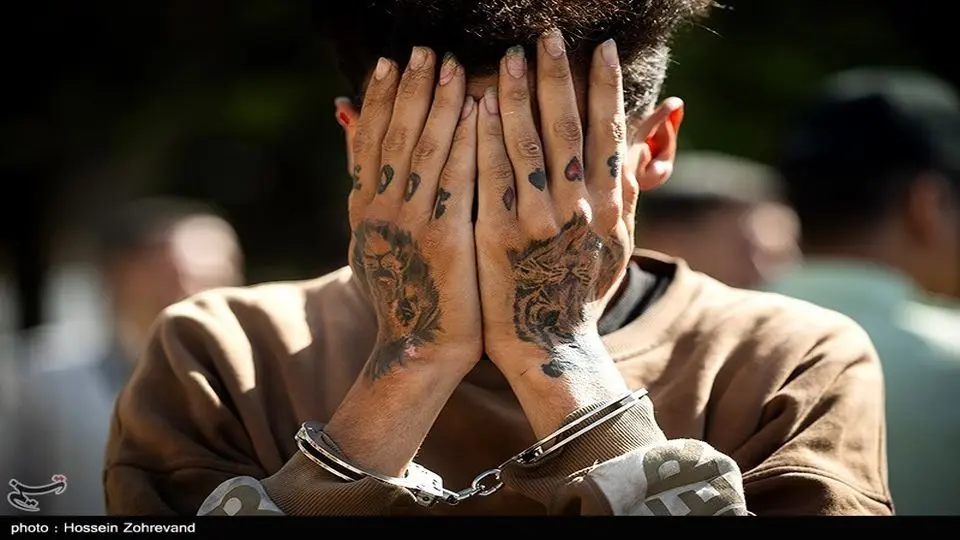 شلیک پلیس به فرار فرد هنجارشکن پایان داد

