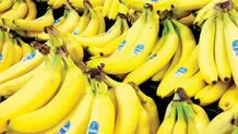 ماجرای واردات موز  از  رژیم صهیونیستی صحت دارد؟
