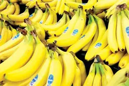 ماجرای واردات موز  از  رژیم صهیونیستی صحت دارد؟
