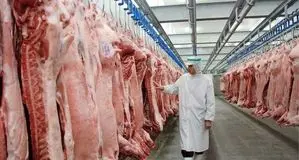 قیمت گوشت قرمز امروز 26 خرداد ۱۴۰۵/ گوشت گوساله و گوسفندی کیلویی چند؟ + جدول