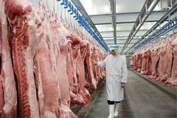 قیمت گوشت قرمز امروز 26 خرداد ۱۴۰۵/ گوشت گوساله و گوسفندی کیلویی چند؟ + جدول