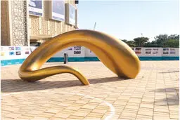 موجودیت  زن  در  برخورد  شخصی