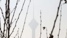 بحران آلودگی هوا، بحرانی ۲۰ ساله