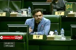 ادعای عجیب ثابتی درباره سفر معاون رئیس‌جمهور به برزیل: خانم انصاری برای این سفر درخواست ۵۰ میلیارد تومان پول کرده است! +‌فیلم