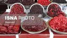 تقدیر از کالین فارل در جشنواره زوریخ