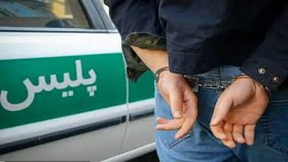دستگیری سارقان و کشف ۶ سرقت در میانه
