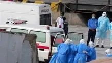 هانتا ویروس در ایران گزارش نشده است