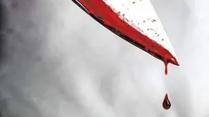 یک وکیل در یاسوج کشته شد + علت