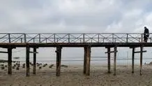 خزر کوچک می‌شود؟