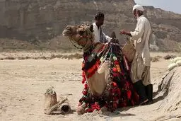 تماشای شکوه سیستان و بلوچستان در قاب  شبکه مستند 

