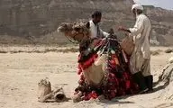 تماشای شکوه سیستان و بلوچستان در قاب  شبکه مستند 


