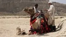 تماشای شکوه سیستان و بلوچستان در قاب  شبکه مستند 

