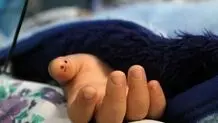 نازنین زهرا دیگر نیست