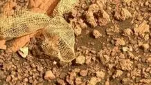 پیدا شدن شی عجیب در مریخ / رد پای بیگانگان یا دروغ ناسا؟ / عکس

